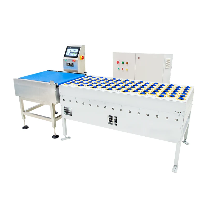 ເປັນຫຍັງການປະຕິເສດສາຍແອວ Weigher Matters ສໍາລັບການຄວບຄຸມວັດສະດຸທີ່ຊັດເຈນ?