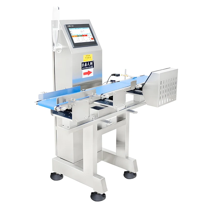 Checkweigher Scale